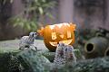 2015-10-22 07-10-54 (2)